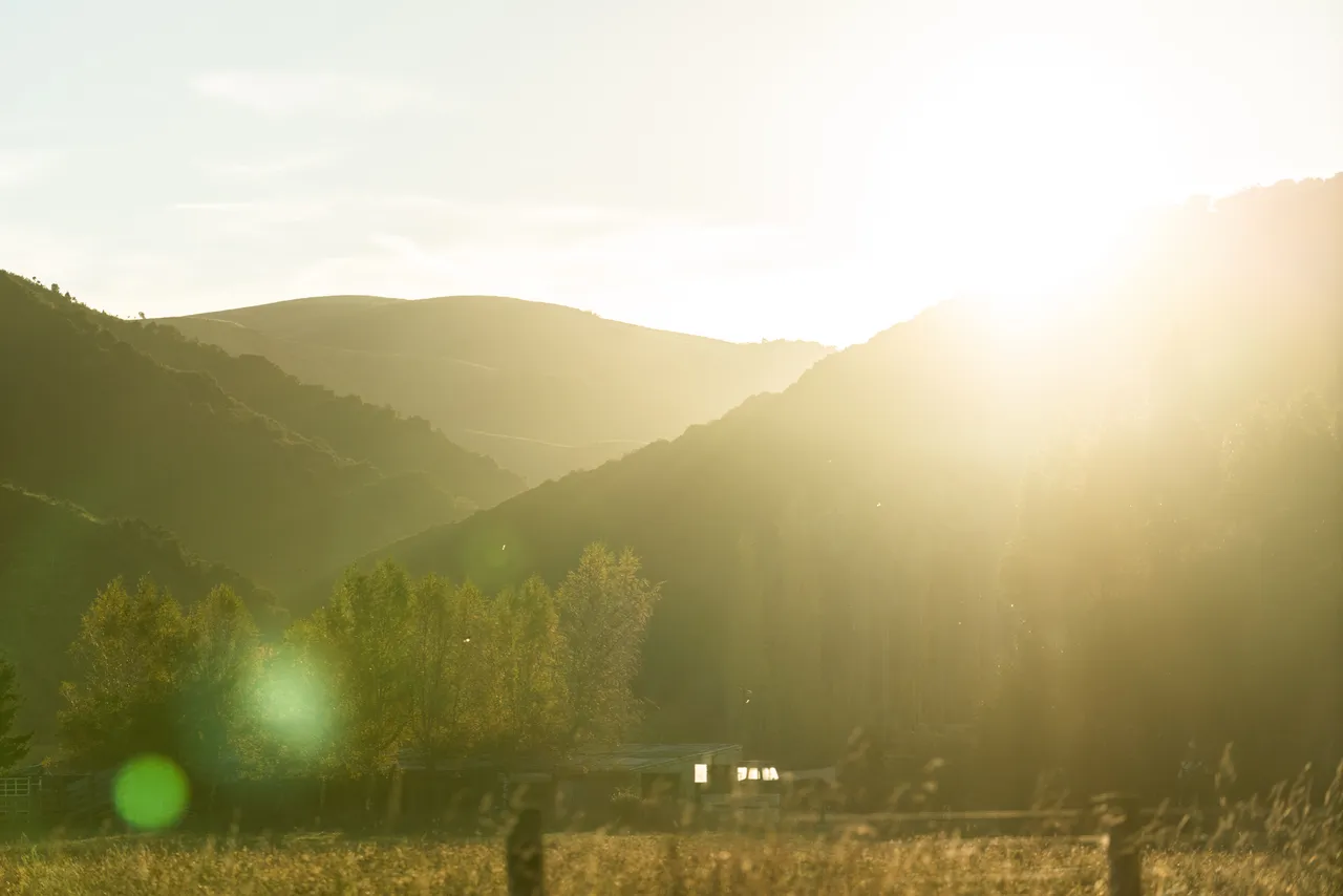 Paddocks and sun