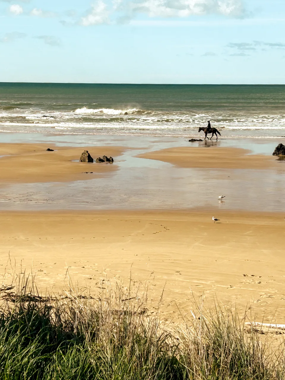 0924-Clutha-Kaka-Point-25