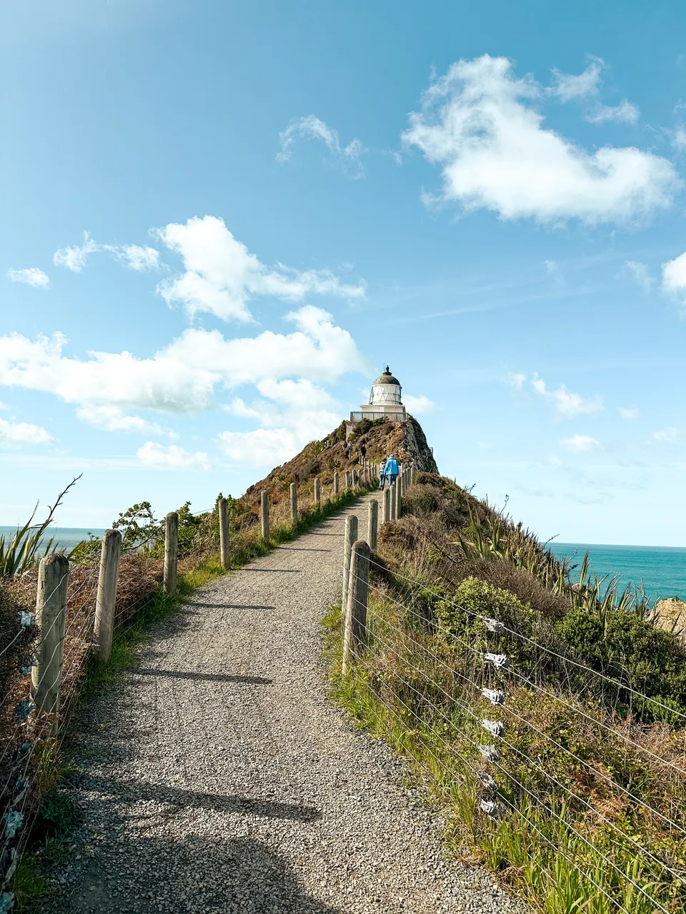 0924-Nugget-Point-02