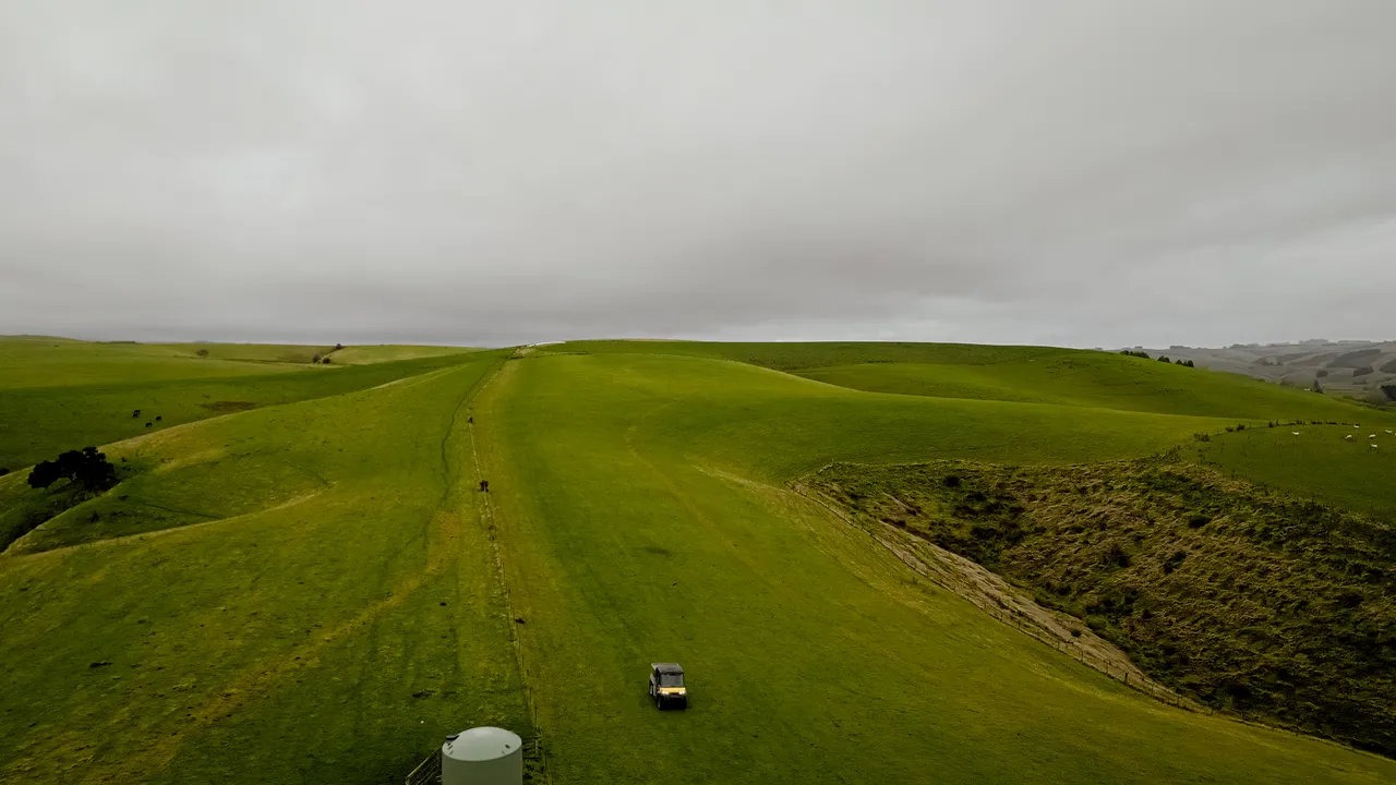 0624-Clutha-Sarahs-Farm-62