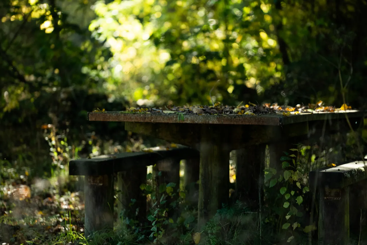 Outside seating area covered in leaves