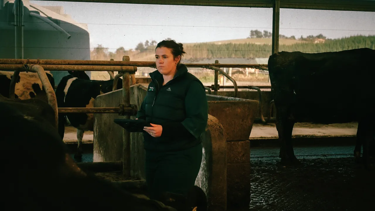 0825-Clutha-VetSouth-097