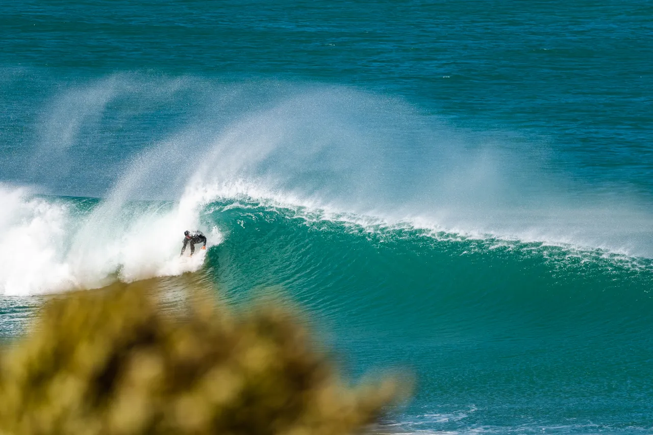 Sea and surfer
