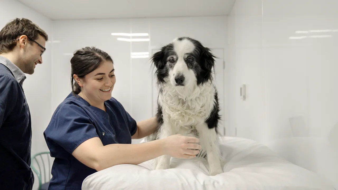 0624-Clutha-Vets-Balclutha-14