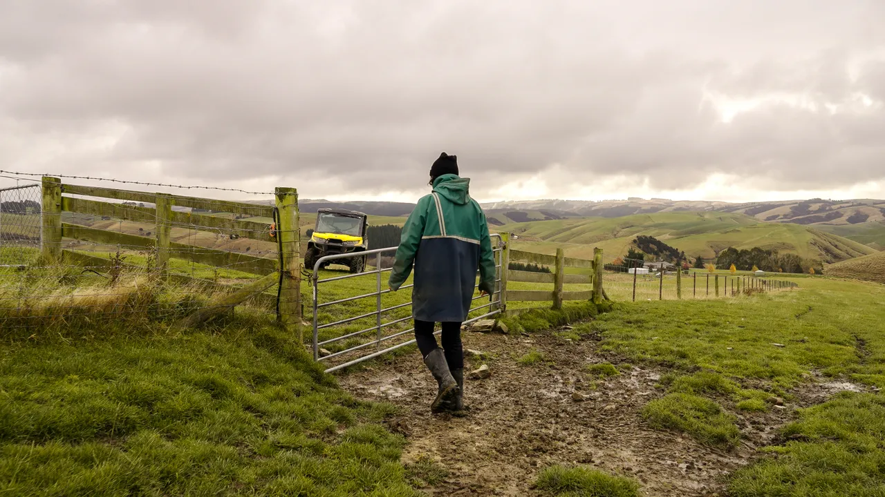 0624-Clutha-Sarahs-Farm-37