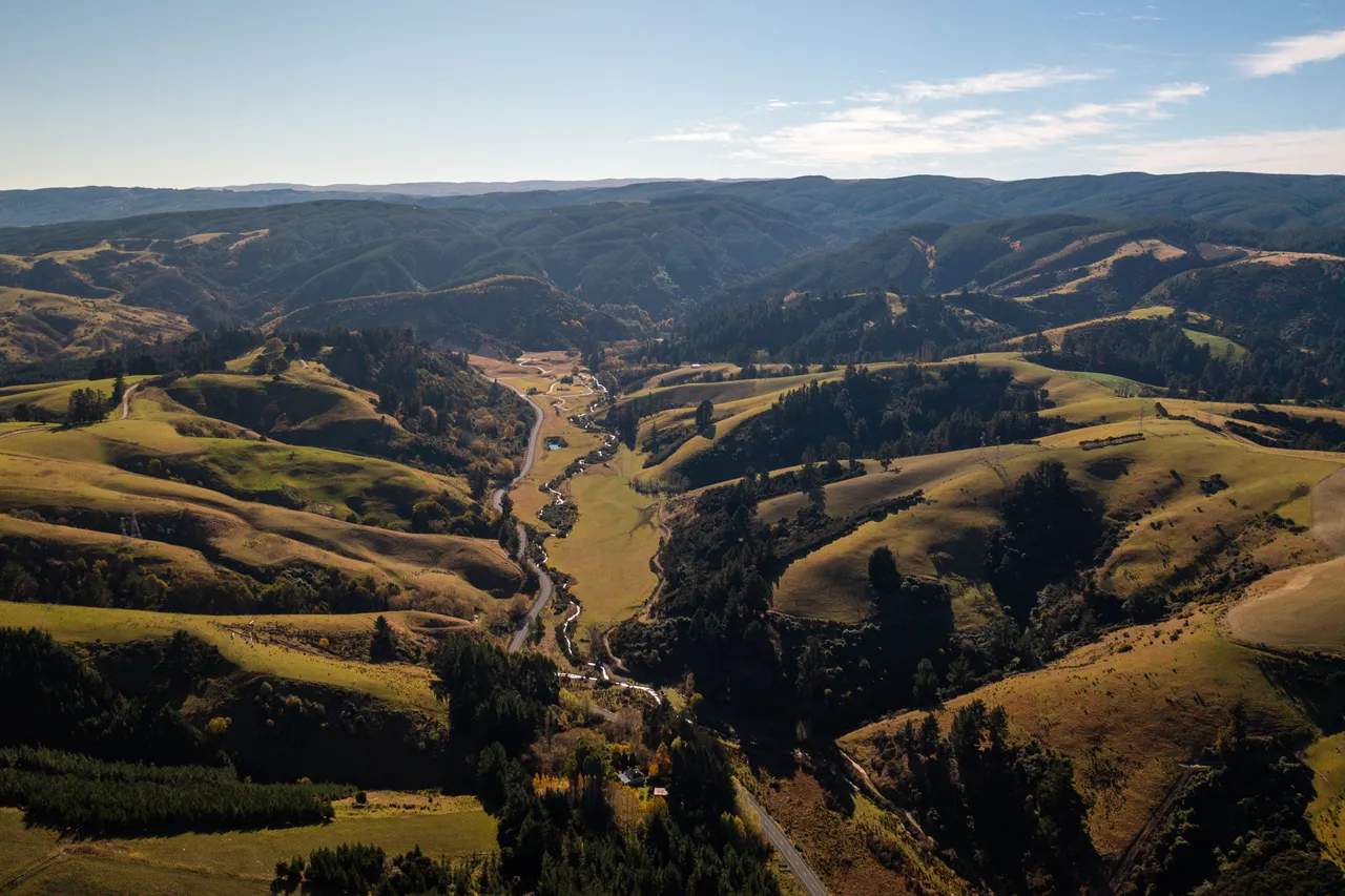 Road and paddocks 
