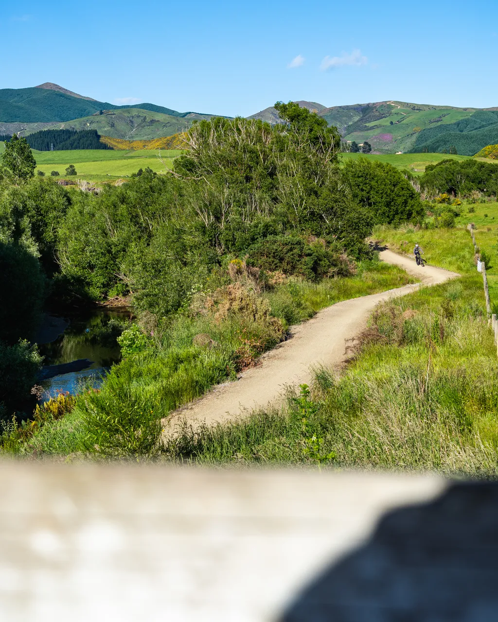 Biker on trail