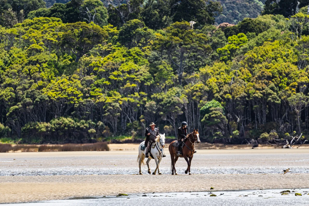 Horses on the beach