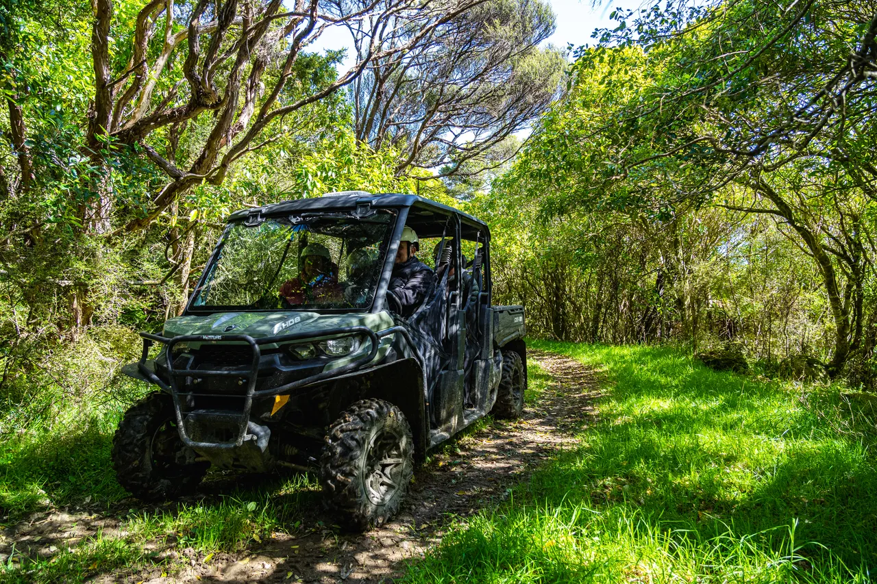 Side by side driving through bush