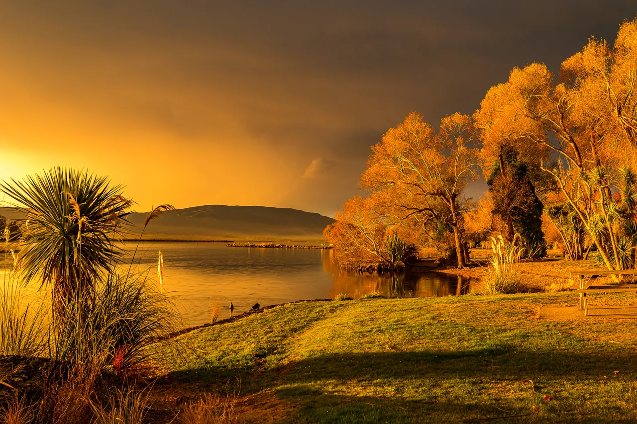 Lake Waihola