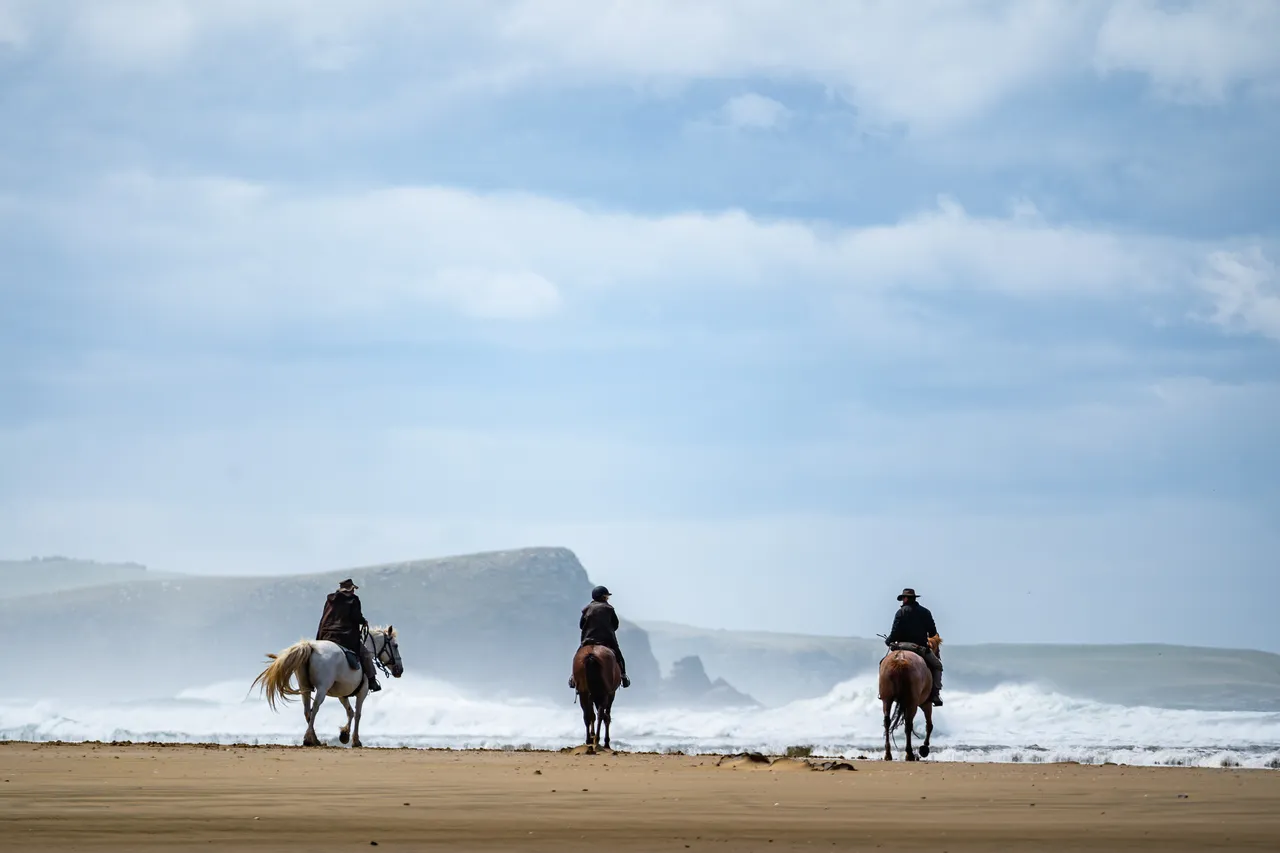 Horses on the beach by the sea
