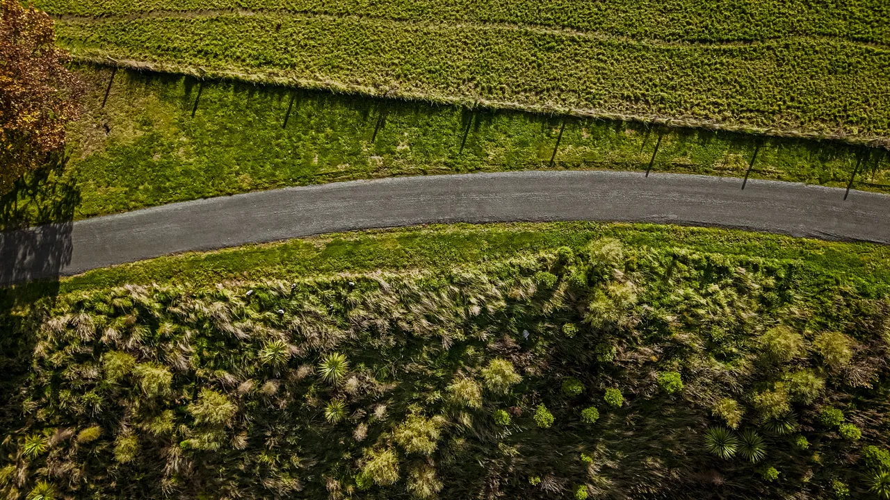 0624-Clutha-Bike-Trail-205