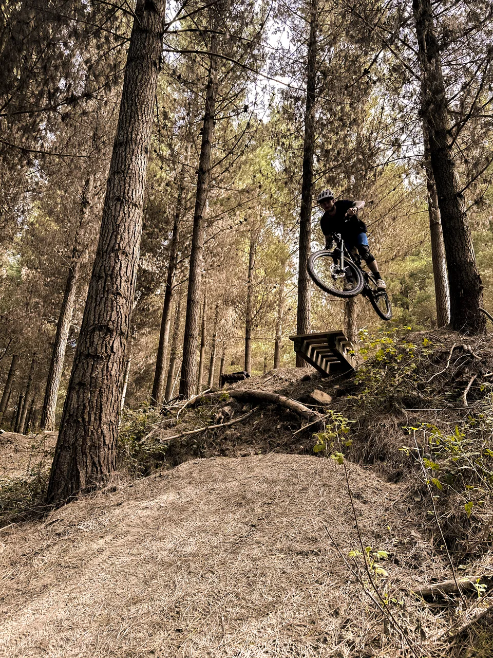 0924-Wetherston-Mountain-Bike-Park-13