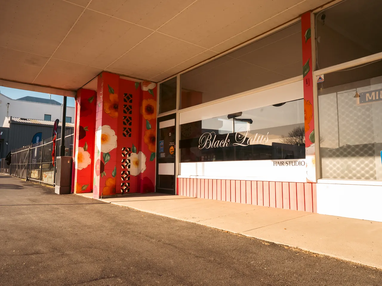 0825-Clutha-Alice-Murals-24