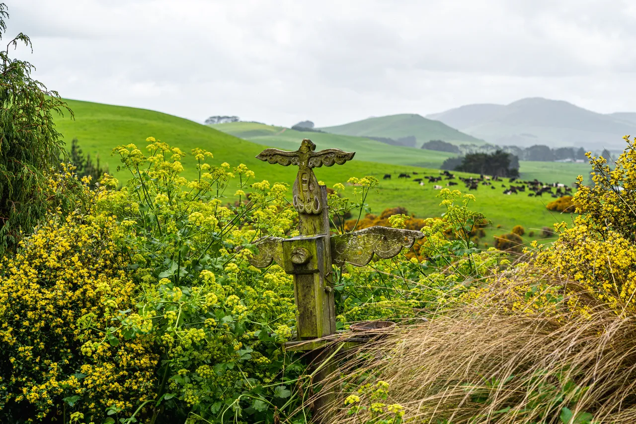 Bushes and view of farmland