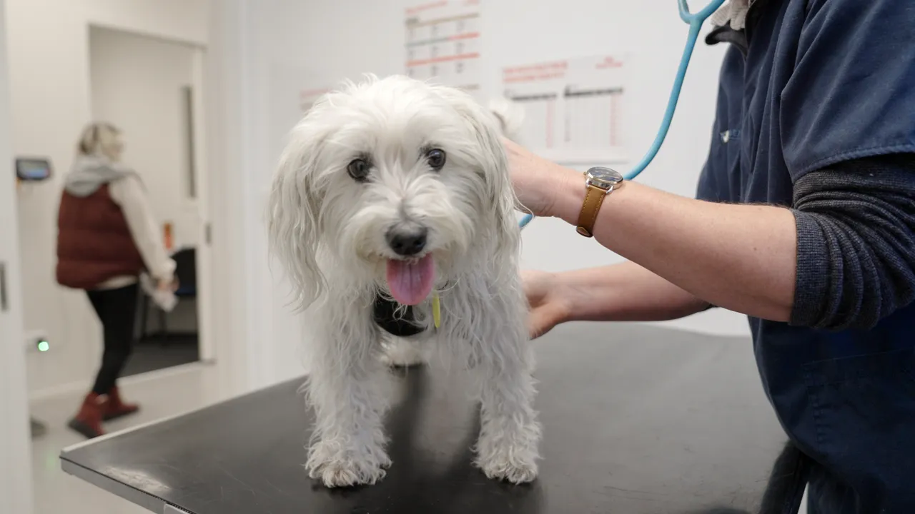 0624-Clutha-Vets-Lawrence-28