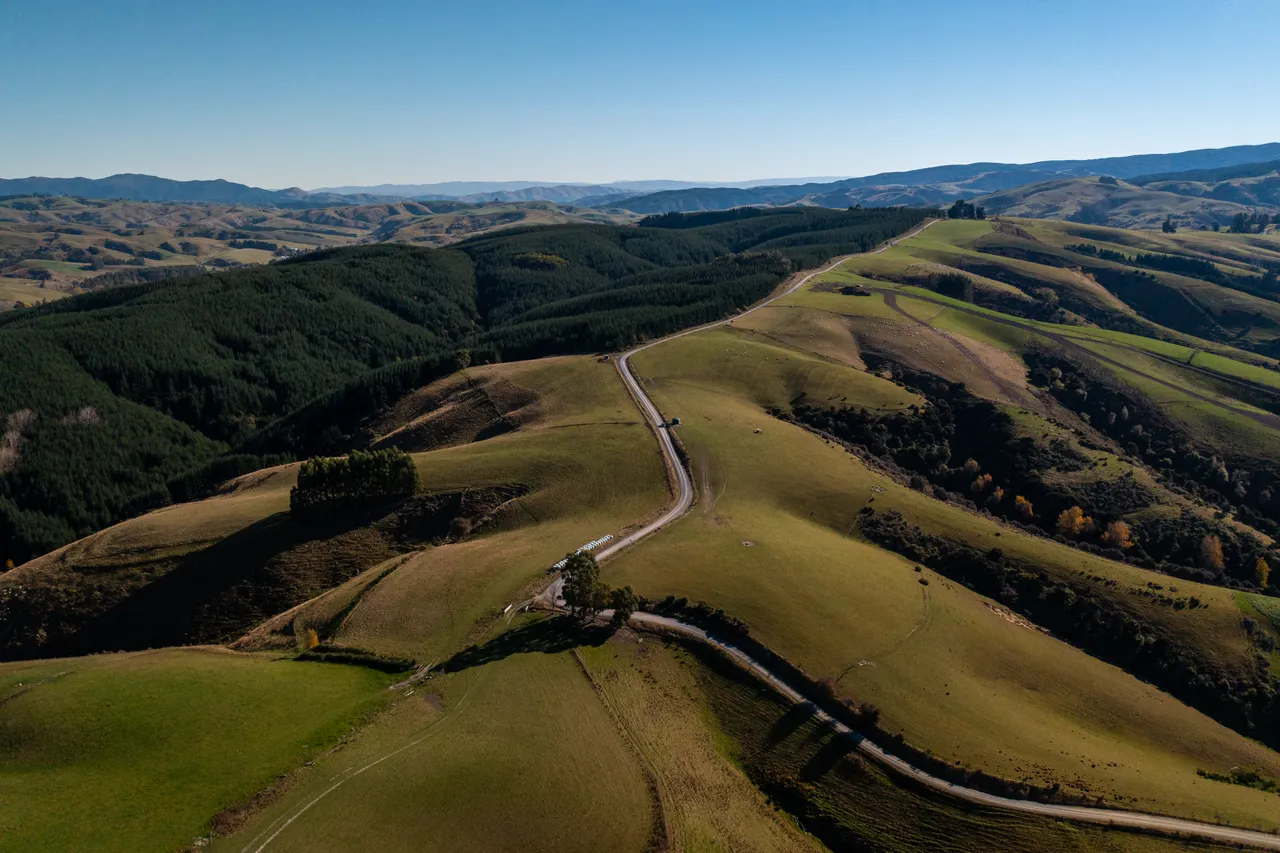 Road and paddocks 