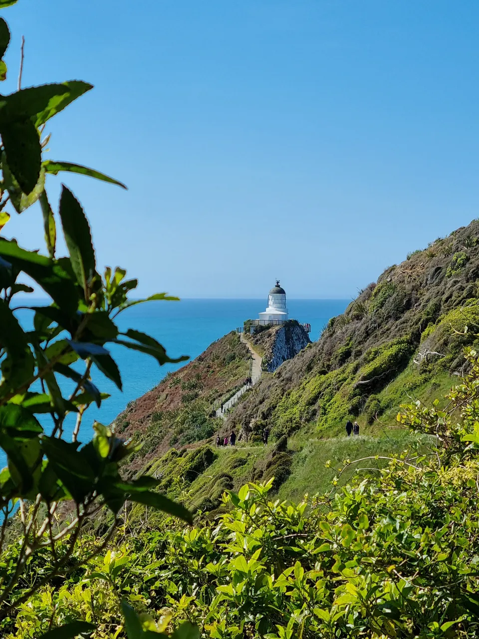 Nugget Point Lighthouse-1