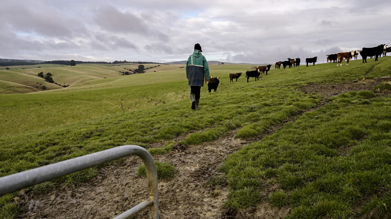0624-Clutha-Sarahs-Farm-15