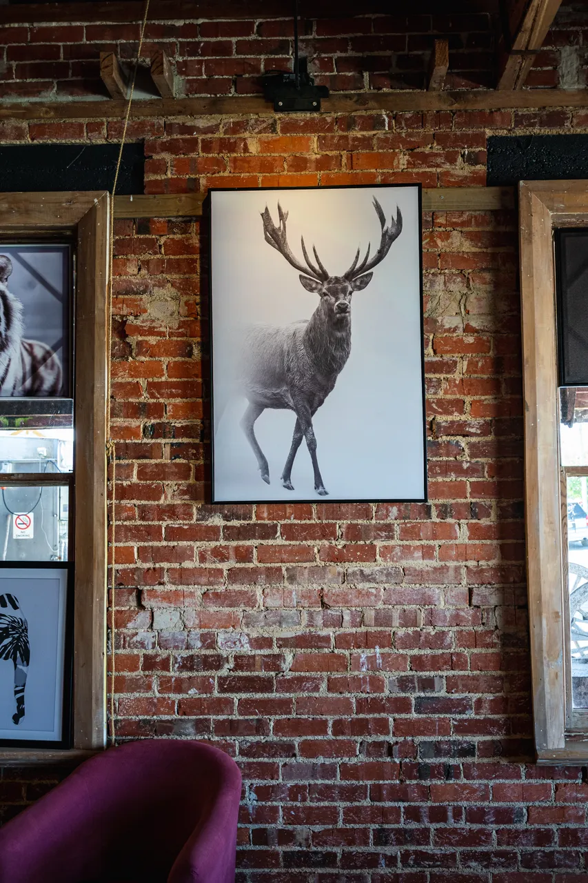 Artwork on brick wall