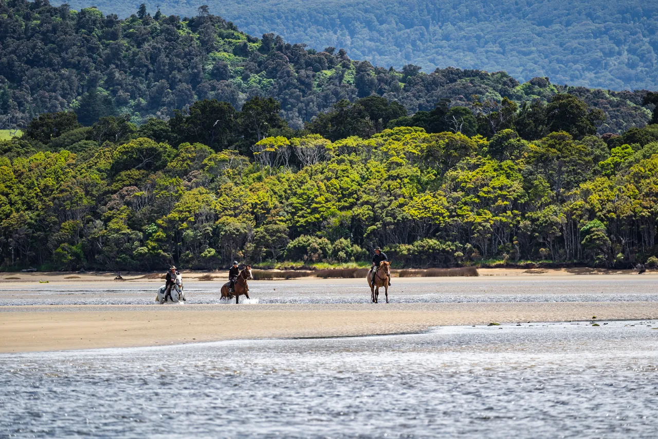 Horses on the beach by the sea