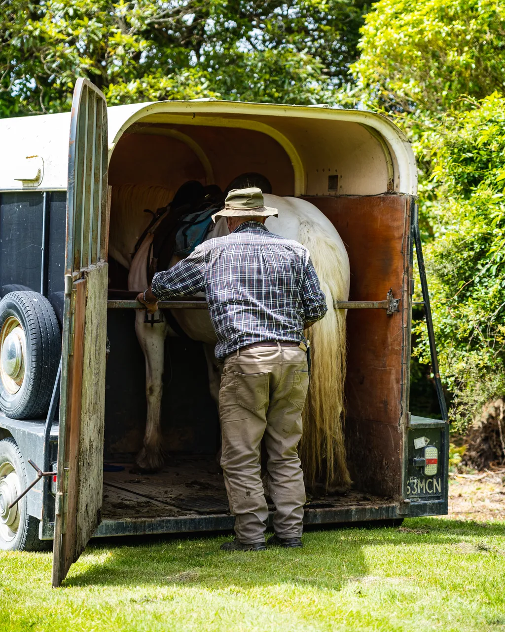 Man with horse in horse float