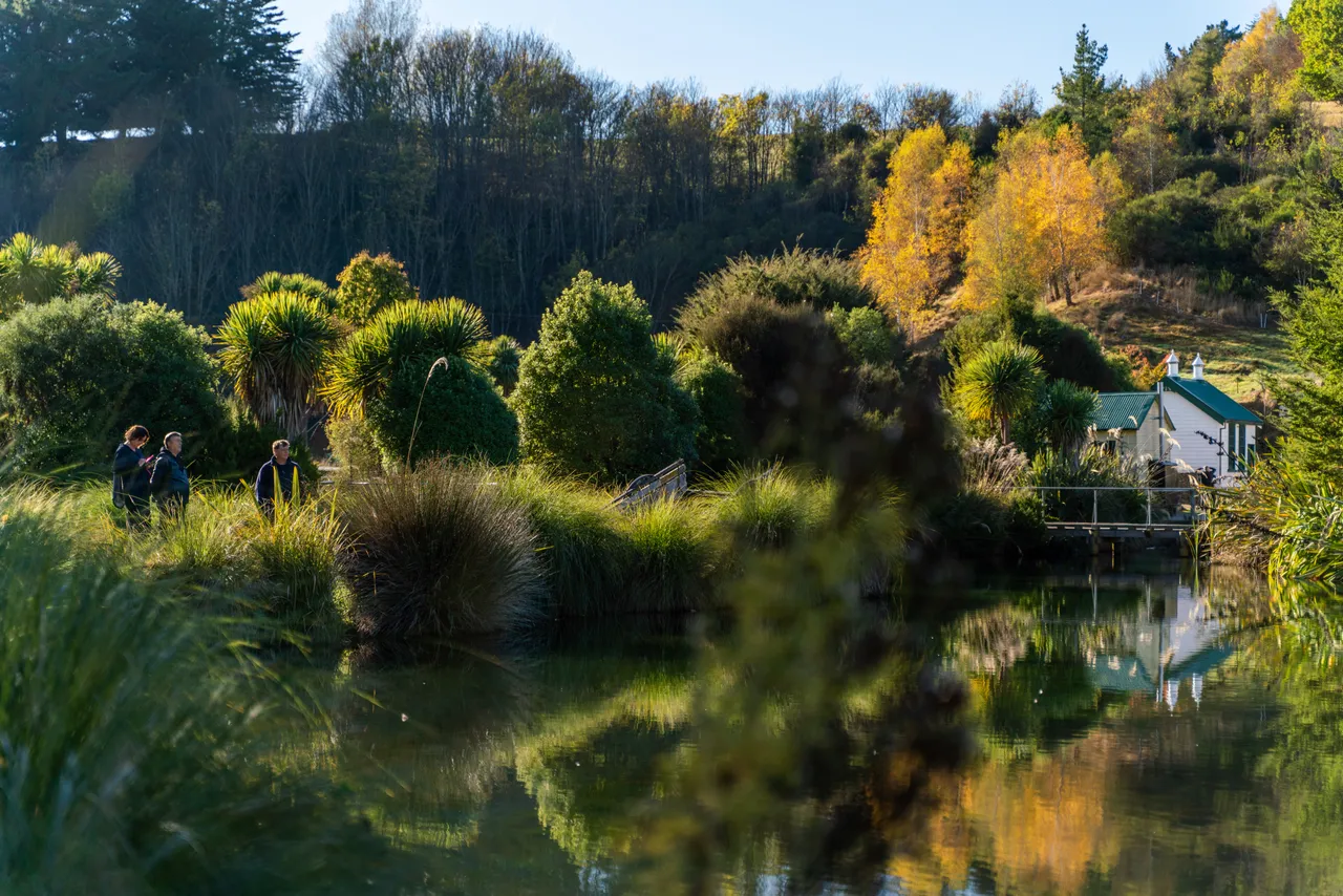 Pond and trees and people