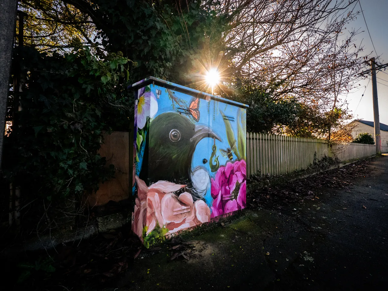 0825-Clutha-Alice-Murals-56
