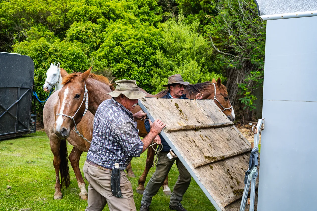 People with horses and horsefloat