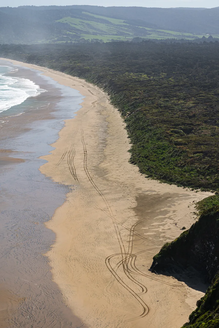 Beach and sea and the bush