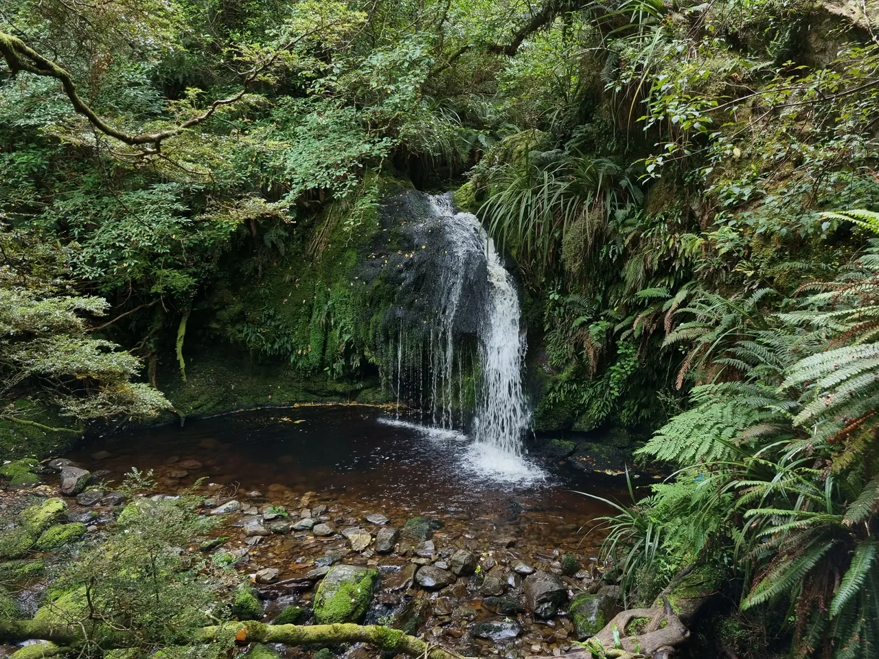 Black Gully, Tapanui #4