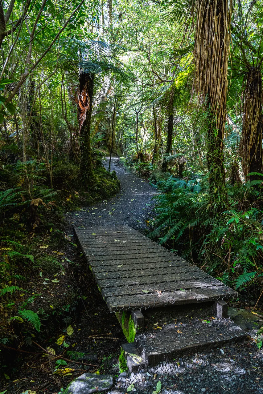 Bridge in the bush