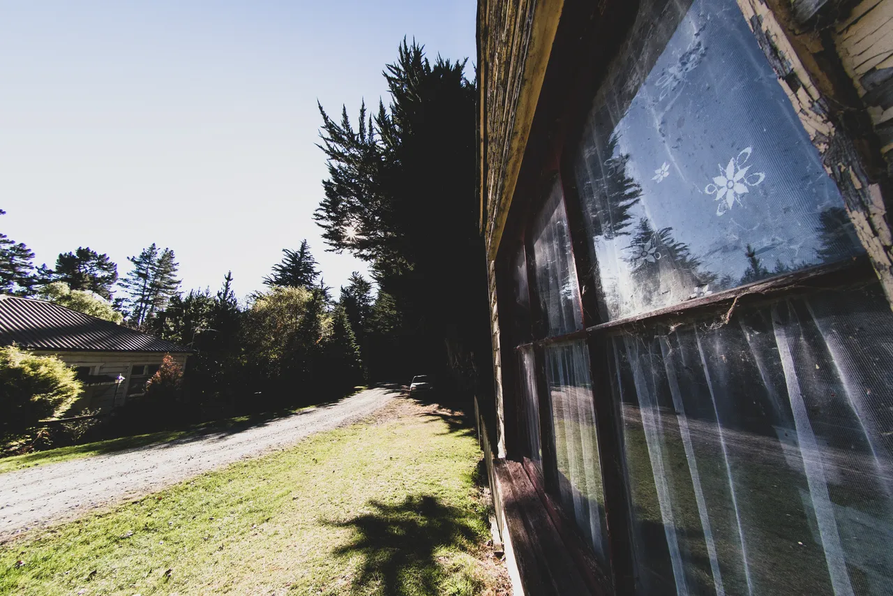 Window and lawn
