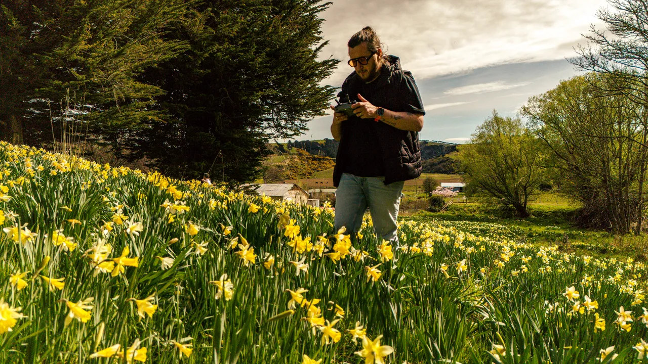 0924-Clutha-Weatherston-Daffodils-11
