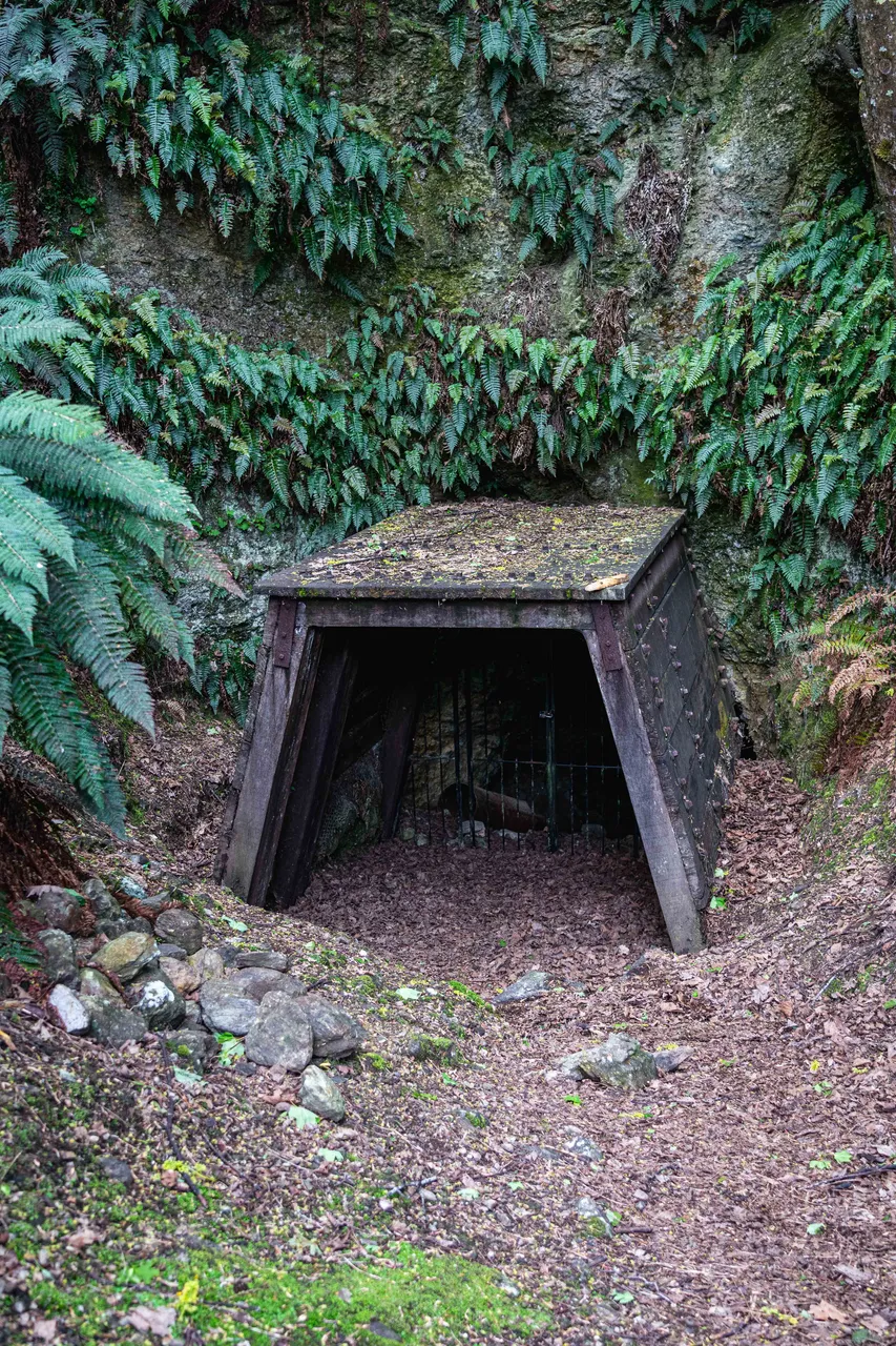 Old mineshaft