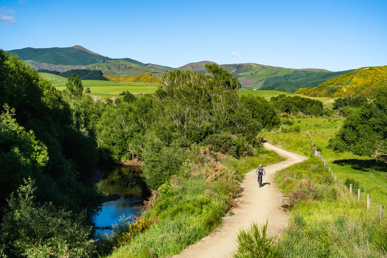 Biker on trail