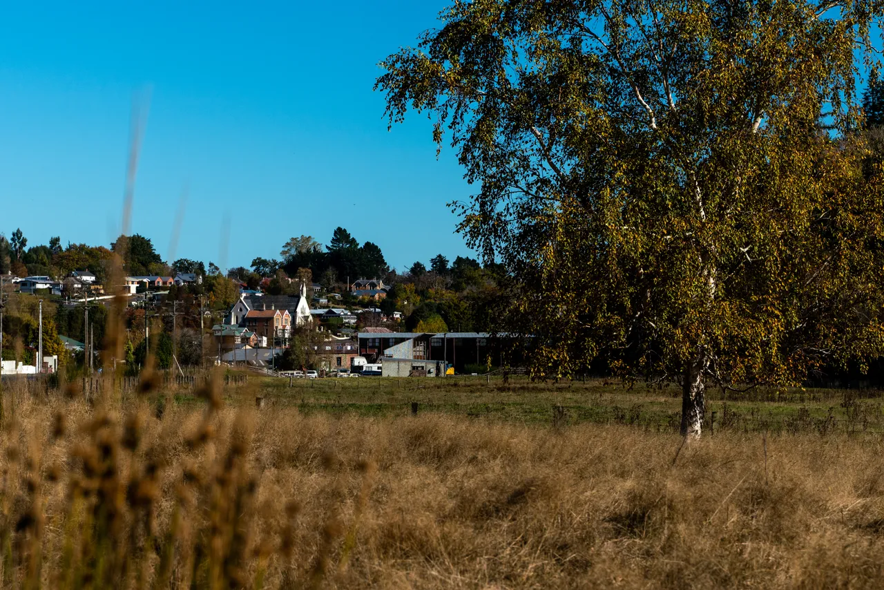 Grass and view of Lawrence