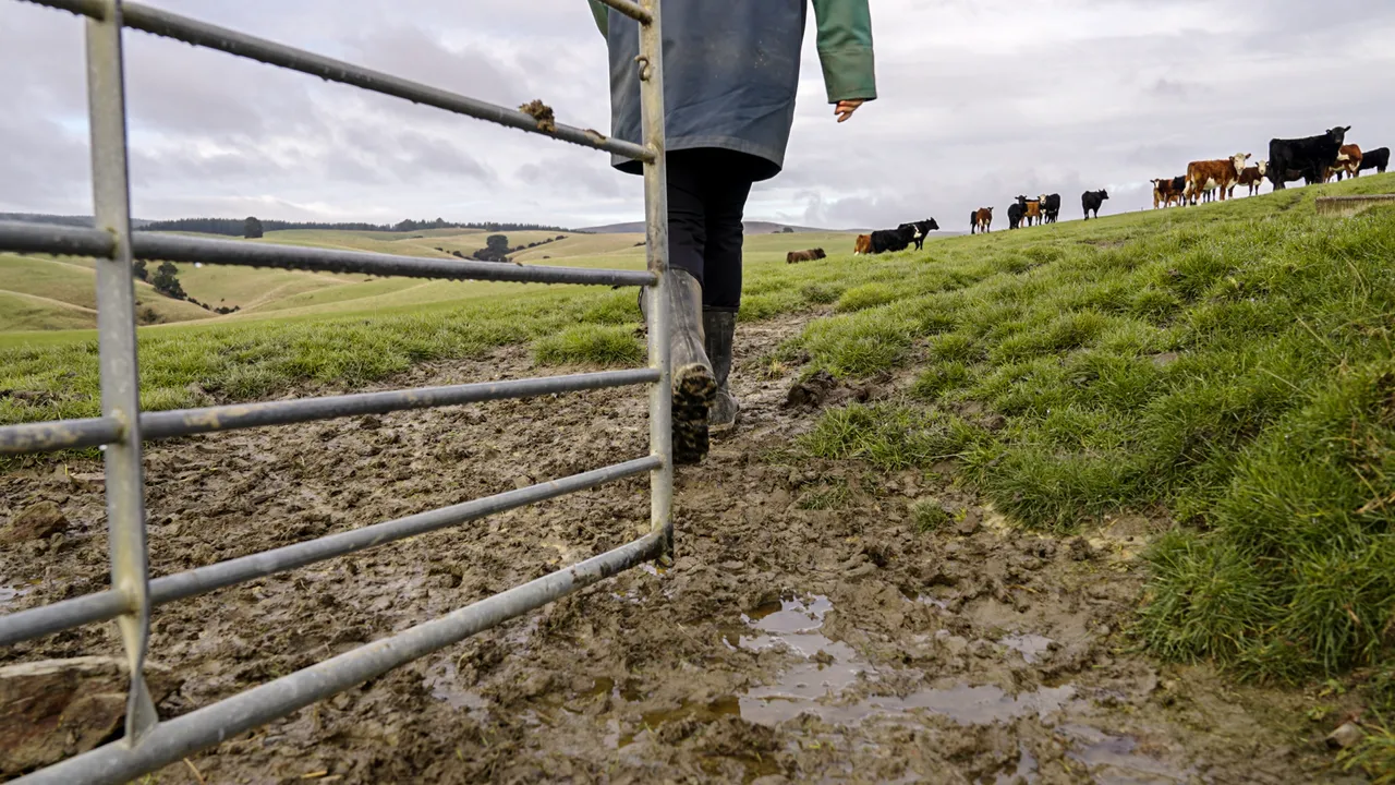 0624-Clutha-Sarahs-Farm-14