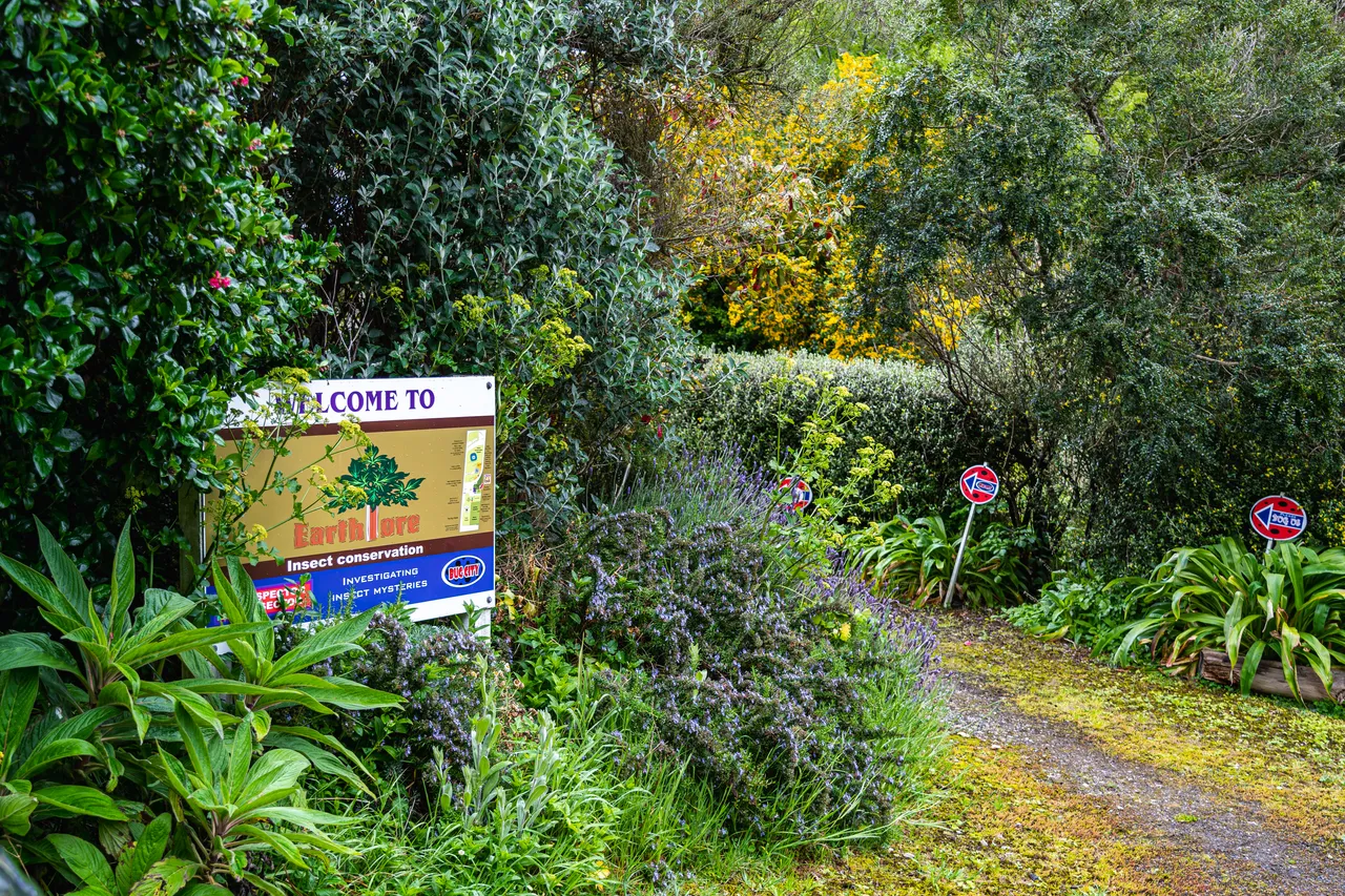 Path through the trees