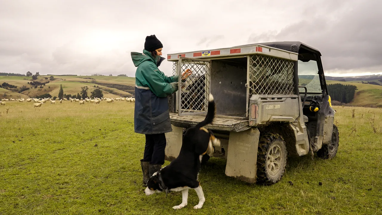 0624-Clutha-Sarahs-Farm-39