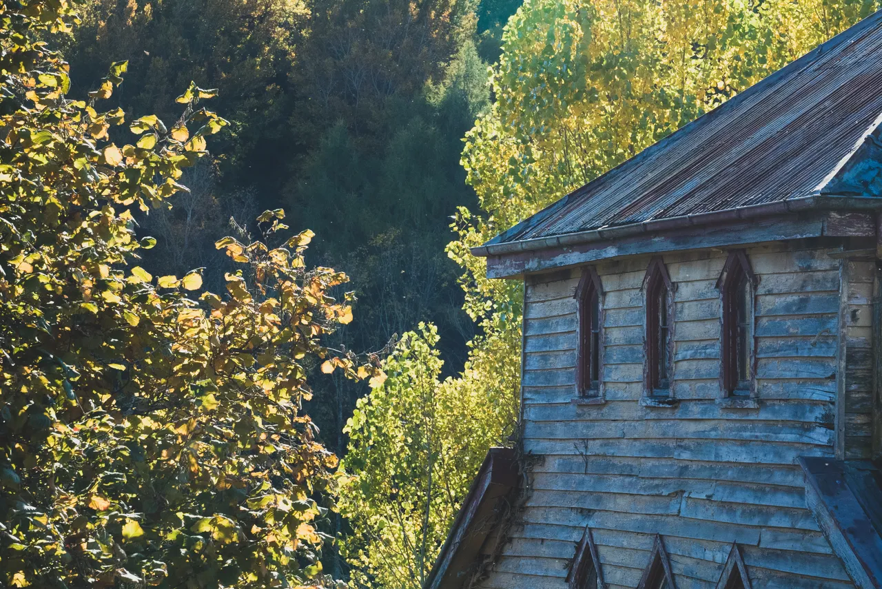 Old building and trees