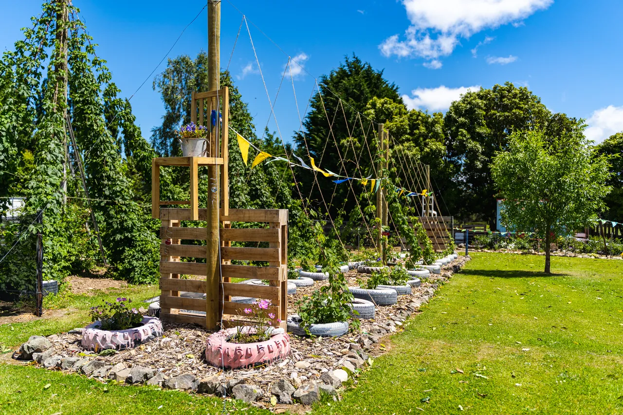 Garden and lawn