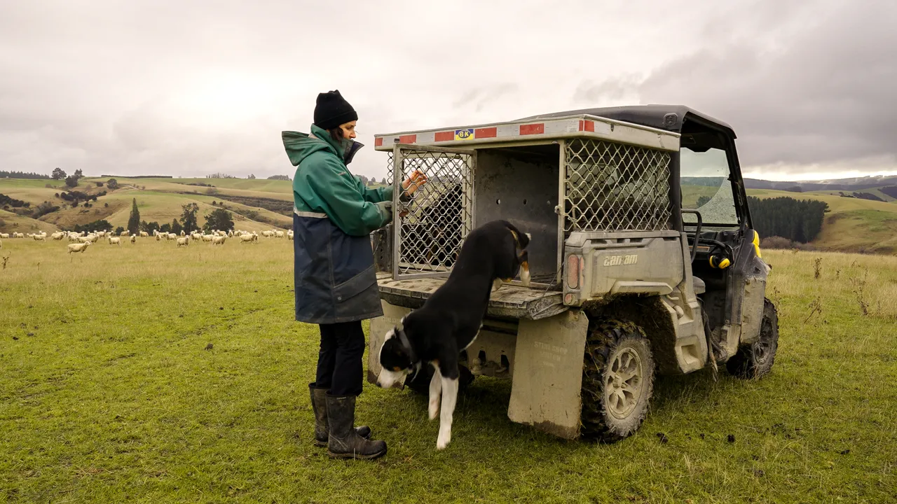 0624-Clutha-Sarahs-Farm-40