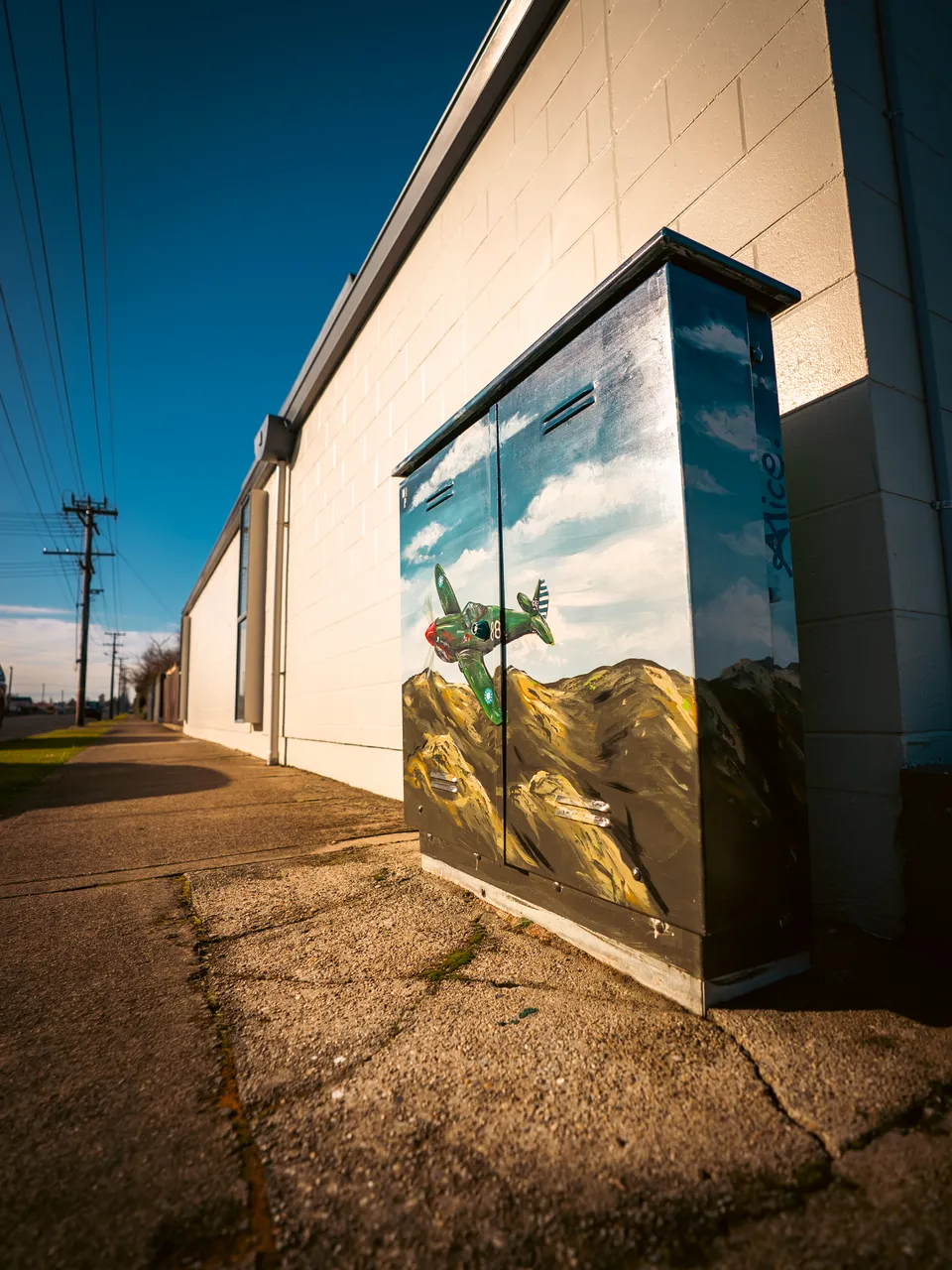 0825-Clutha-Alice-Murals-38