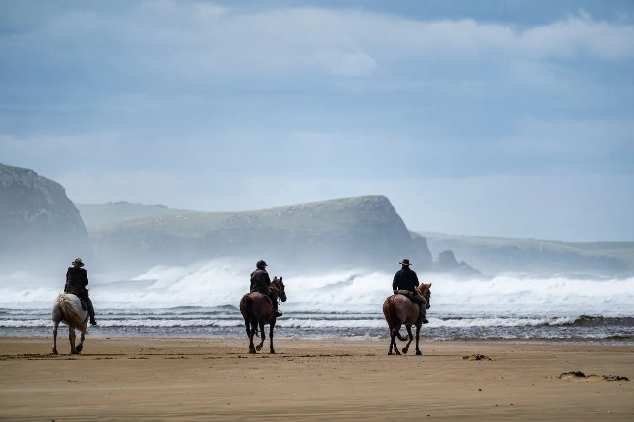 Horses on the beach by the sea