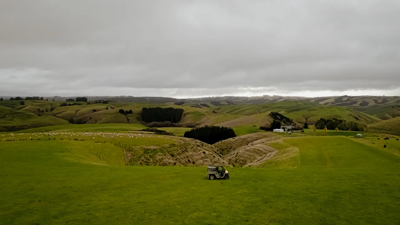 0624-Clutha-Sarahs-Farm-68