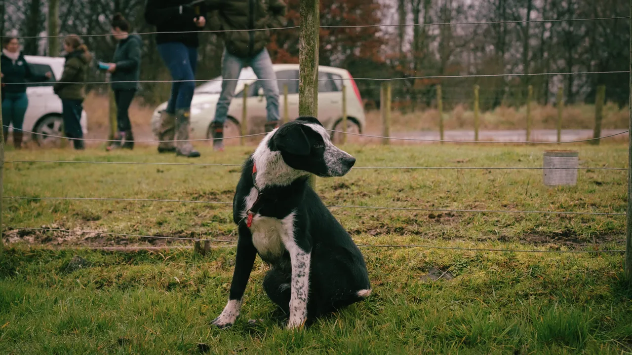 0825-Clutha-Telford-063