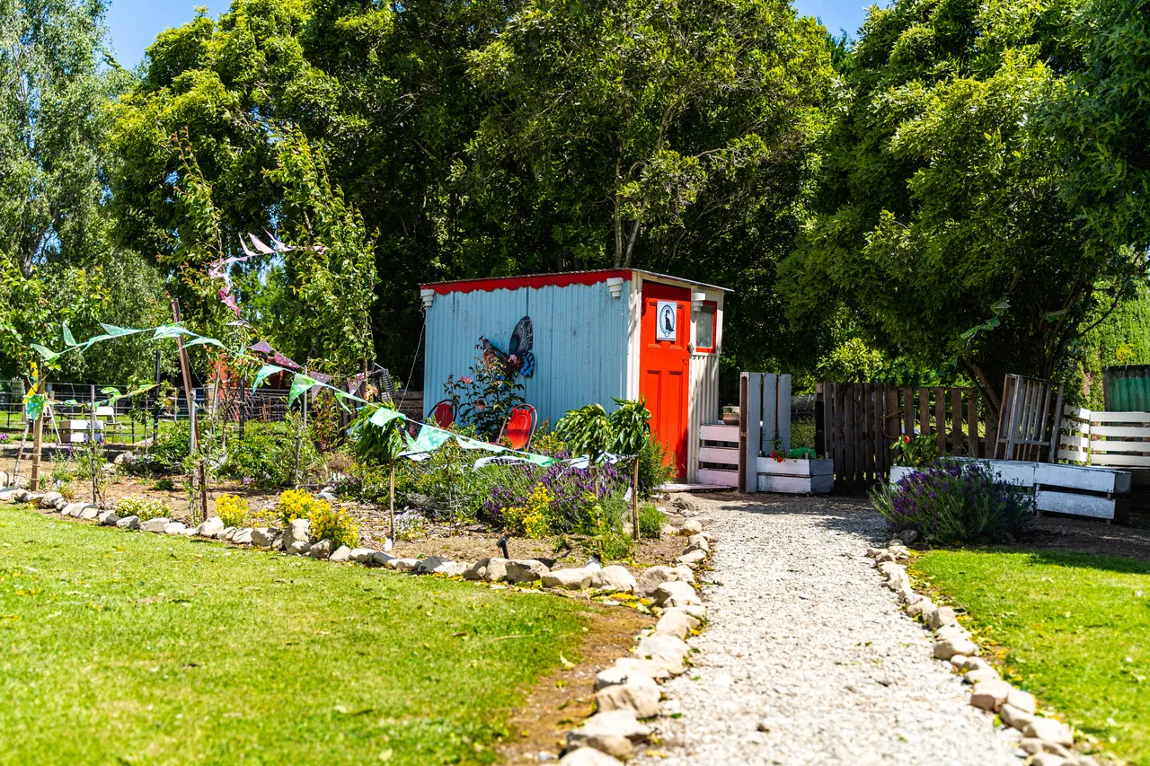 Garden shed and lawn