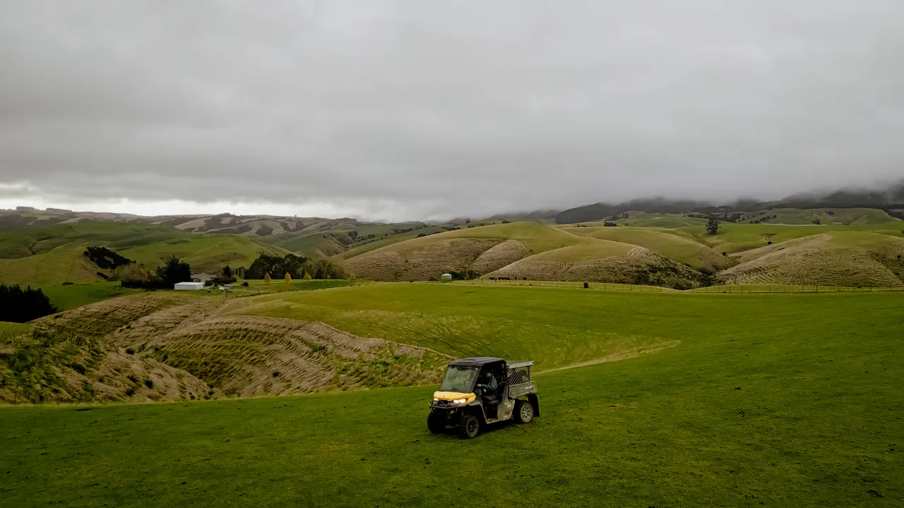 0624-Clutha-Sarahs-Farm-67