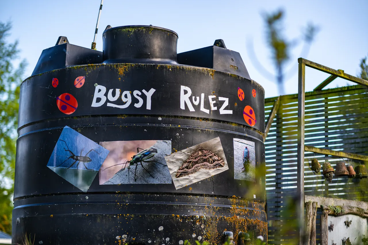 Tank with bug photos